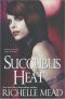 [Georgina Kincaid 04] • Succubus Heat (Georgina Kincaid, Book 4)